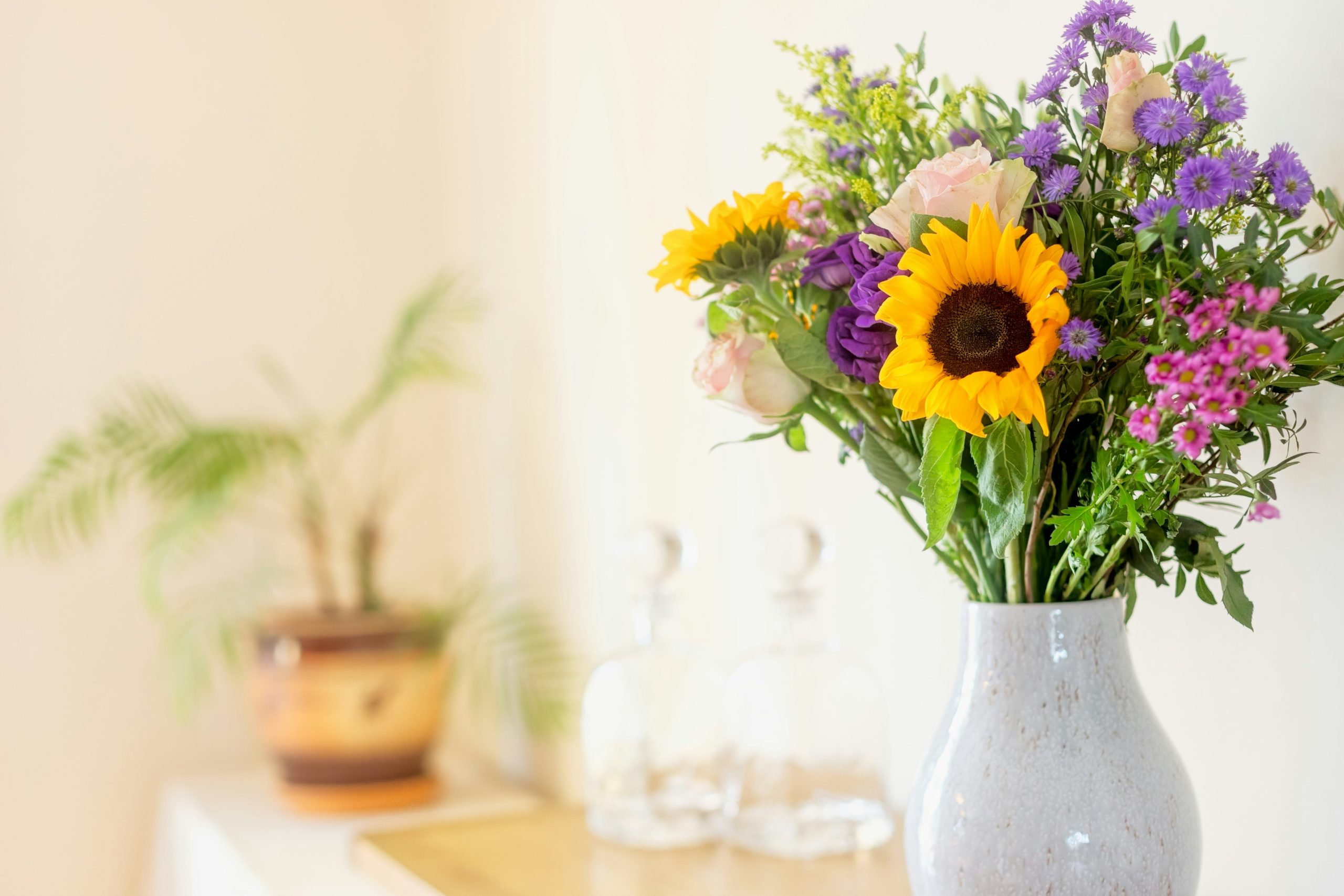 Como cuidar tus flores en casa